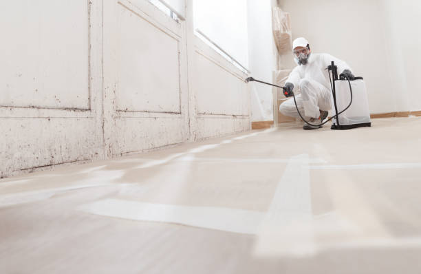 24/7 Emergency Mold Removal experts in Silver Spring, MD