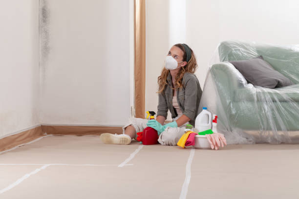 Reliable Mold Removal contractor in Silver Spring, MD by Mold Remediation HQ